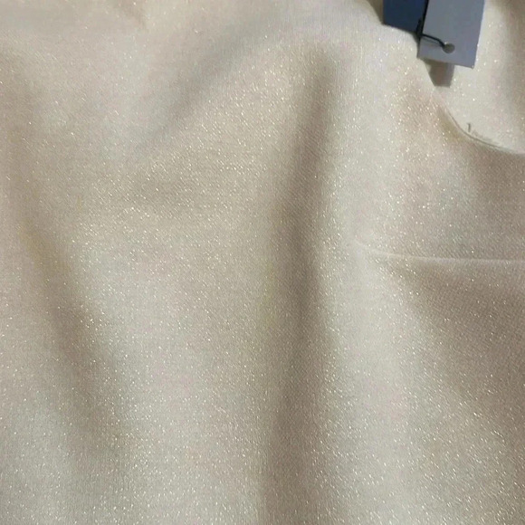 PLEASE READ Halston Heritage Sleeveless High-Neck Fitted Shimmer Cocktail Dress - Picture 14 of 15